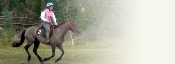 Caba&ntilde;a La Lucila